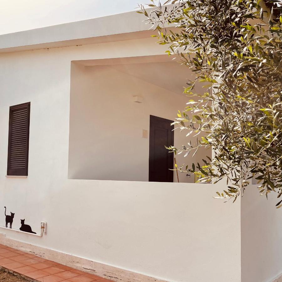 Villaggio Eco-Sostenibile Cala Molinella Vieste Zewnętrze zdjęcie